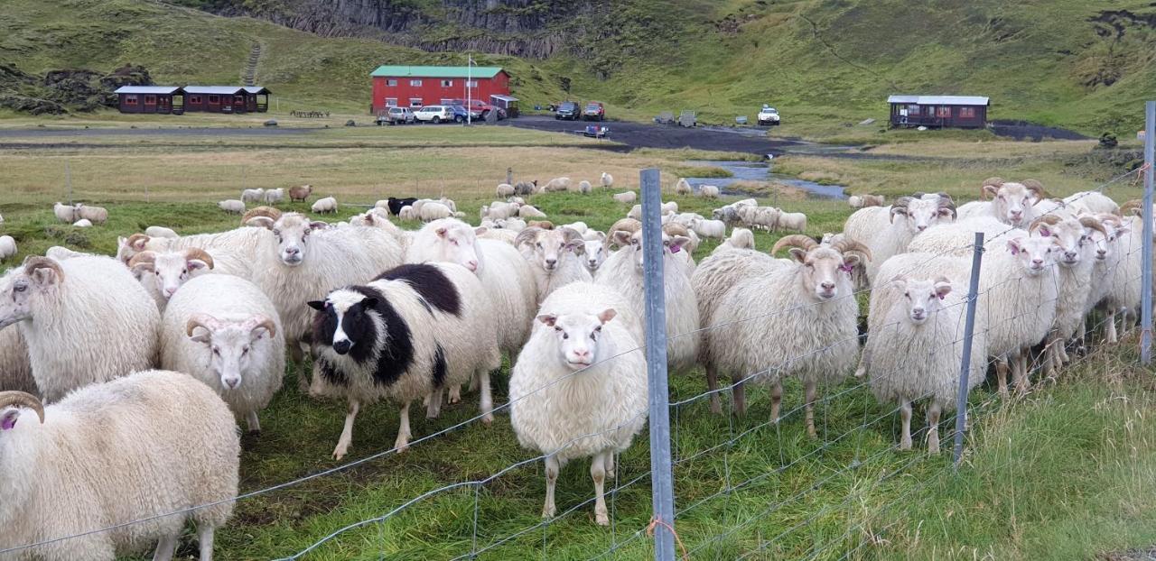 Holaskjol Highland Center Kirkjubaejarklaustur Luaran gambar